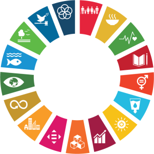 Sustainable Development Goals - Obiettivi di Sviluppo Sostenibile