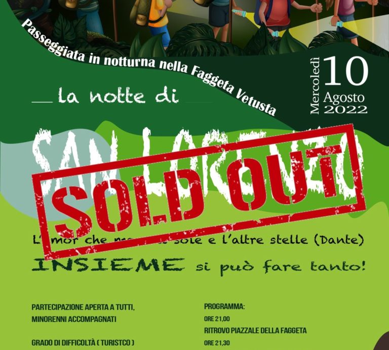 Scopri di più sull'articolo Evento – Passeggiata Notturna nella Faggeta Vetusta del Monte Cimino