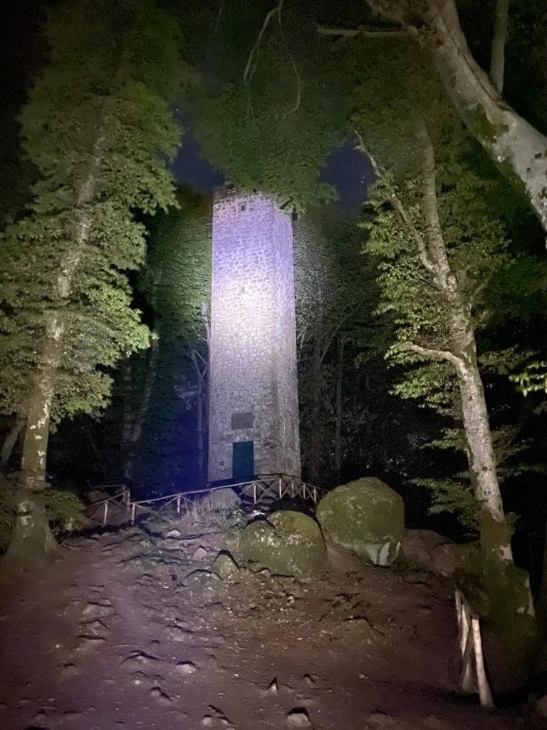 Scopri di più sull'articolo Passeggiata Notturna nella Faggeta Vetusta del Monte Cimino