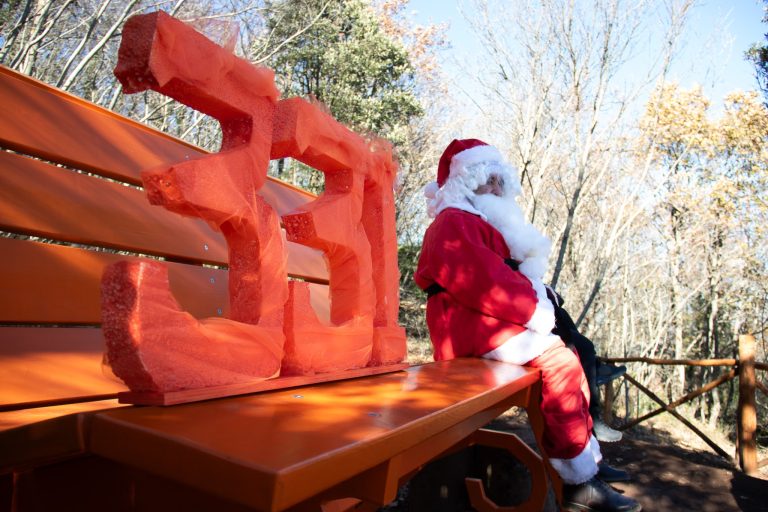 Scopri di più sull'articolo 17/12/2023 – Inaugurata la prima Big Bench della provincia di Viterbo