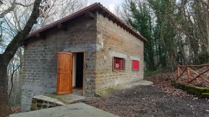 Scopri di più sull'articolo 12/04/2026 – Alla scoperta del microcosmo della Faggeta presso il Bivacco dei Menici