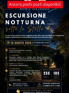 Scopri di più sull'articolo 10/08/2026 – Escursione Notte San Lorenzo