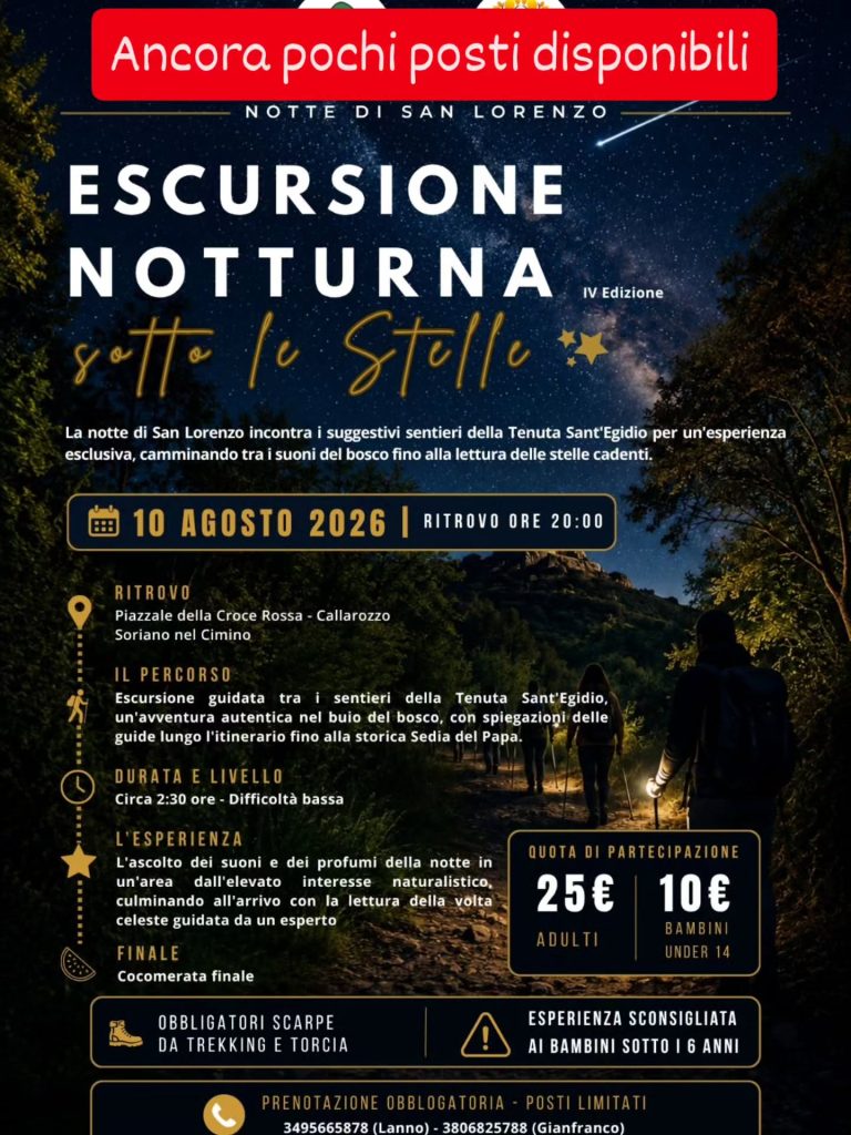 escursione notturna stelle