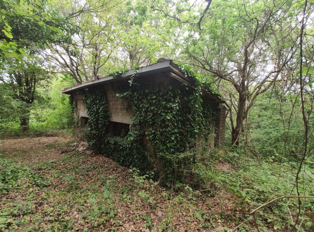 L'edificio avvolto dall'edera nel 2022 · Bivacco dei Menici, Soriano nel Cimino