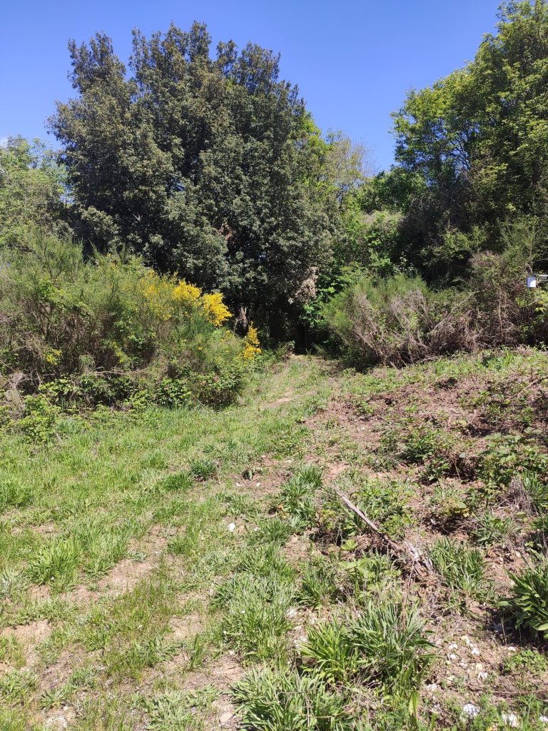 Il piazzale invaso dalla vegetazione · Bivacco dei Menici, Soriano nel Cimino