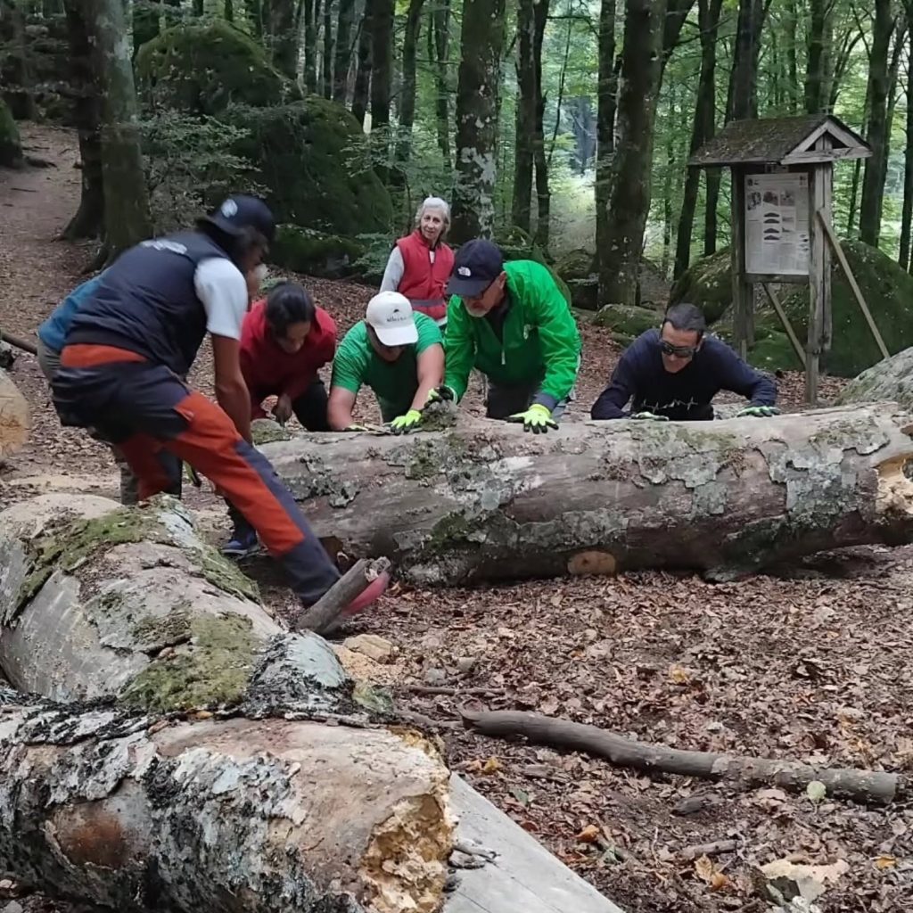 sentieri faggeta vetusta