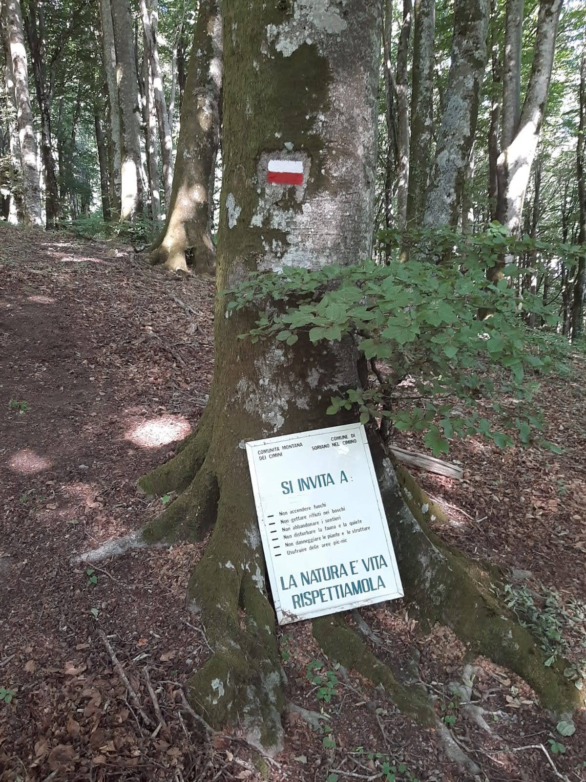 Vecchio cartello ai piedi di un faggio con la scritta La natura è vita, rispettiamola