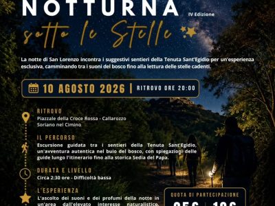 escursione notturna stelle